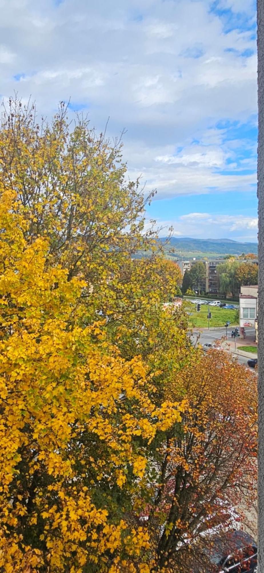 Apartament Diselvio Nowy Targ Exteriör bild